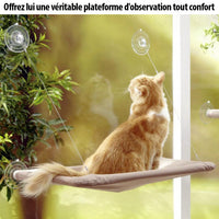 Hamac ventouse de fenêtre pour chat - Livraison Offerte