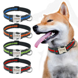 Collier personnalisé réfléchissant en nylon pour chien avec gravure de vos coordonnées - Livraison Offerte